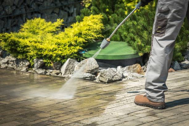 Best Driveway Cleaning and Restoration in Deshler, OH